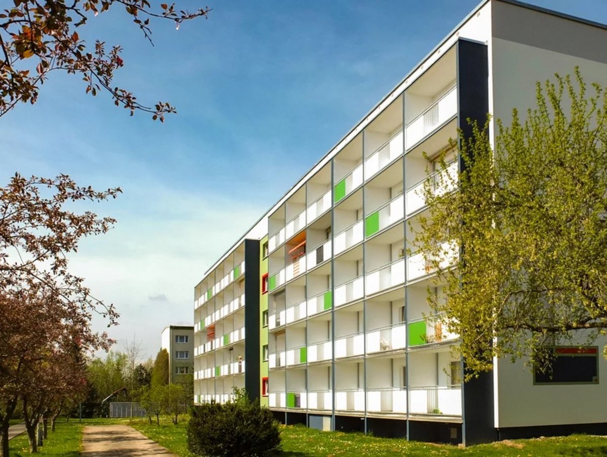 Ökologische Verantwortung Bestand für die ökologische Verantwortung